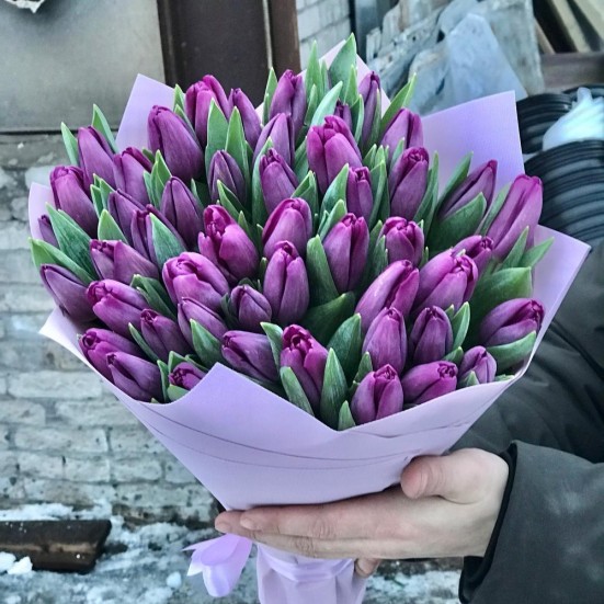 Букет из 51 фиолетового тюльпана - фото 2